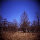 dailyPhoto7